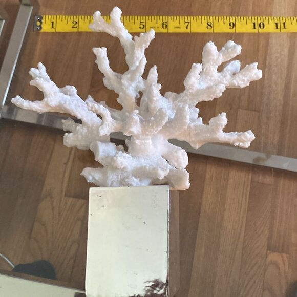 White branch coral on silver base. 12” x 10” - Picture 7 of 7